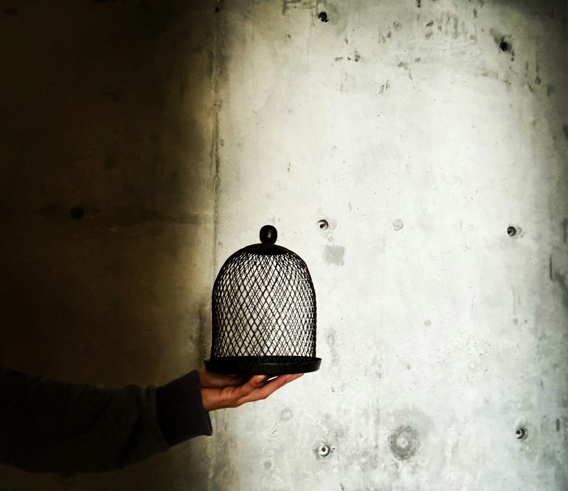 Main tenant une cloche grillagée vintage — sourcing d'objets anciens La Cocotte en Papier